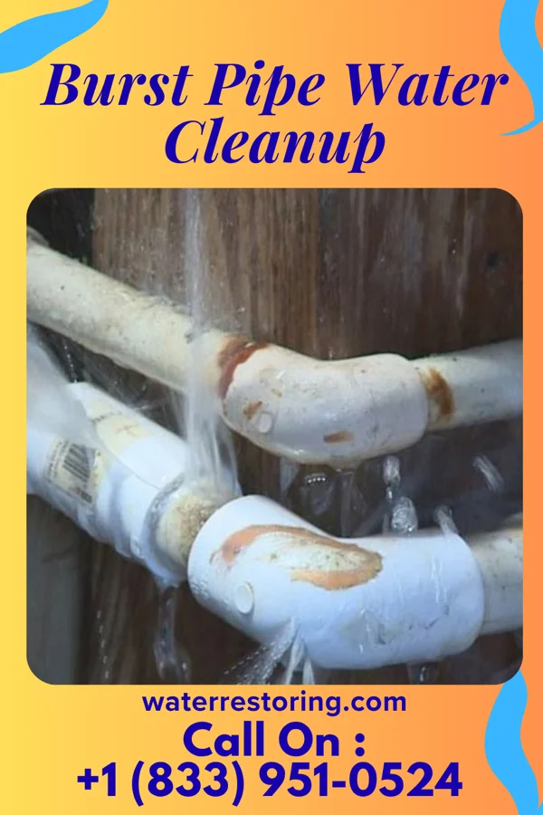 Burst Pipe Water Cleanup in Chariton, IA